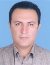 وکیل حمید محمدی
