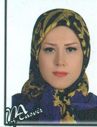وکیل ساناز محمودی