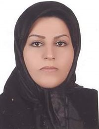 وکیل کبری خدمه