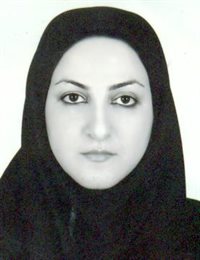 وکیل صنم  منصوریان