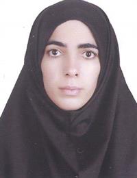وکیل حمیده رضائی