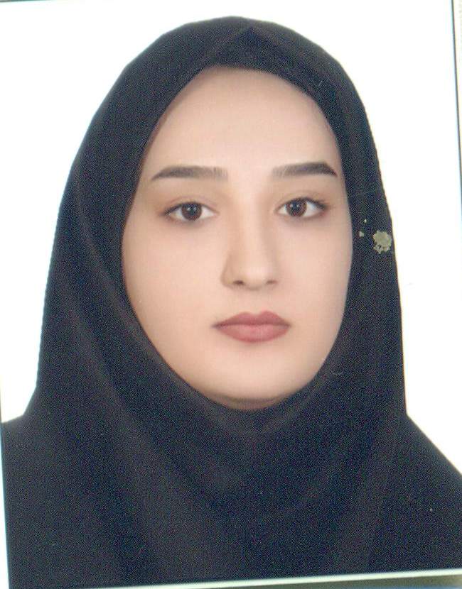 وکیل سولماز نیازی