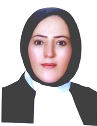 وکیل سمیه محمدی