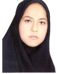 وکیل سهیلا مزارعی
