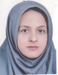 وکیل حدیث سلگی