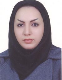 وکیل سمیه شهرکی نسب