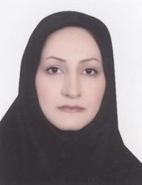 وکیل سکینه رضائی