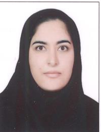وکیل سولماز افشاری