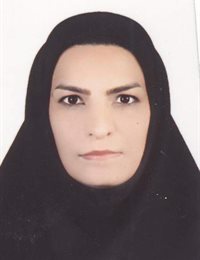 وکیل وجیهه عارفی