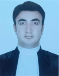 وکیل حامد نوروزی