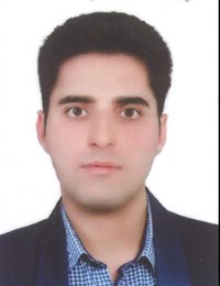 وکیل هادی داوری