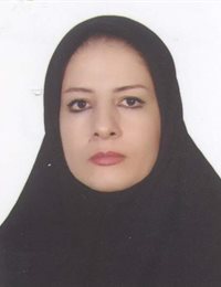 وکیل سیده شهین میربزرگی