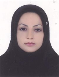 وکیل فتانه بلاغی