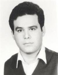 وکیل محسن میدان شاهی