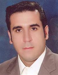 وکیل حسین بینا