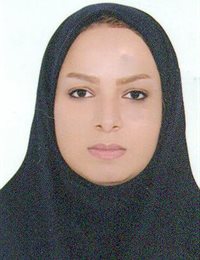 وکیل فانوس انصاری