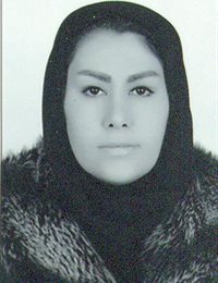 وکیل گل آرا علی محمدی