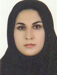وکیل اکرم رستمی پور