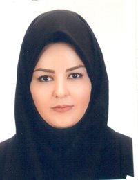 وکیل پروانه محمد حسینی