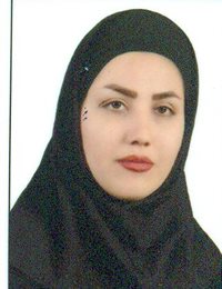 وکیل نرگس محمدی