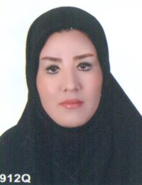 وکیل مرضیه محمدی 