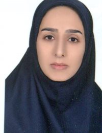 وکیل مینا سالمی