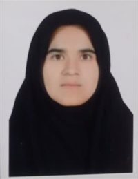 وکیل فاطمه فانی