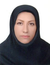 وکیل پروانه عزیزی