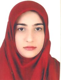 وکیل ریحانه خلیلی