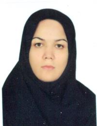 وکیل زهرا ترکمان 