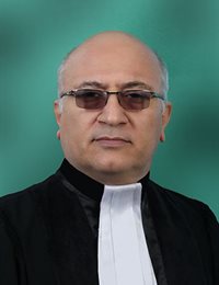 وکیل مجید  امامی نژاد 