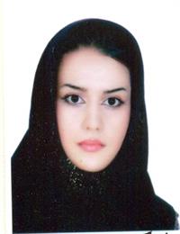 وکیل نیلوفر ستوده