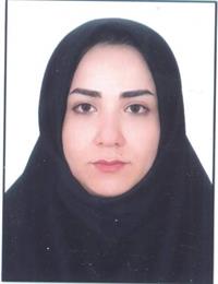وکیل مهناز حج گذاری