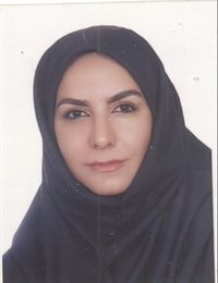 وکیل نیلوفر قلعه نوئی
