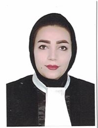 وکیل راضیه برزی
