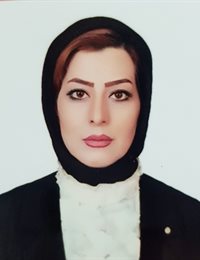 وکیل گل رخ بهادر
