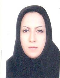 وکیل نرگس میرزایی زاده