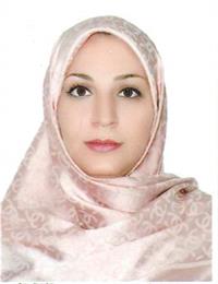 وکیل سیده هانیه شاهرخی
