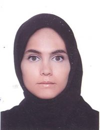 وکیل مه گل مجلل مهر