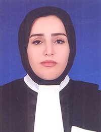 وکیل زینب محمدی