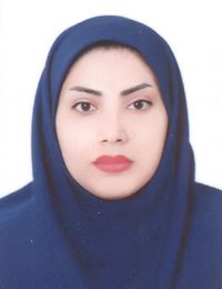 وکیل برجیس ریشهری