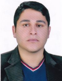 وکیل مجتبی  همه خانی