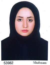 وکیل مائده صبور