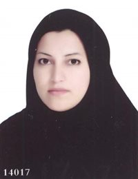وکیل نورگل امامی