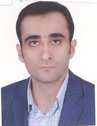 وکیل سید حامد حسینی
