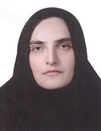 وکیل مینا مفیدی چلان 