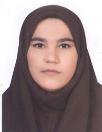 وکیل رقیه  حسینی ورجوی