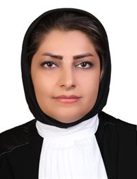 وکیل شیرین  ابوالحسنی طرقی