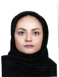 وکیل معینه الدین ابراهیمیان
