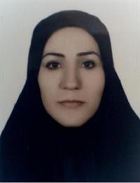 وکیل منصوره روستائی